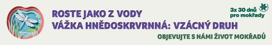 Mokady_SOP